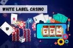 White Lable Casino: быстрое открытие собственного клуба 29 White Lable Casino: быстрое открытие собственного клуба