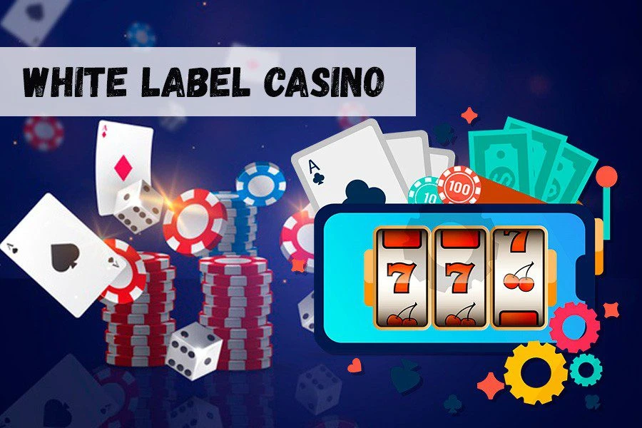 White Lable Casino: быстрое открытие собственного клуба 32 White Lable Casino: быстрое открытие собственного клуба
