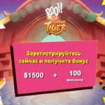 100% и 100 фриспинов бонус в Booi casino